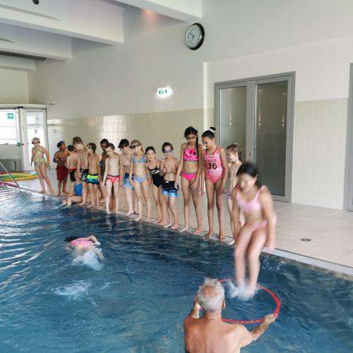 Schwimmen