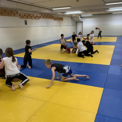 Judo 