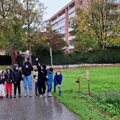 Globales Lernen  - Besuch am Weltacker Innsbruck 