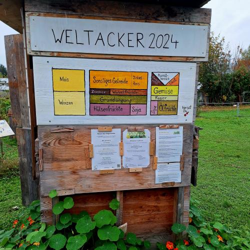 Globales Lernen  - Besuch am Weltacker Innsbruck 