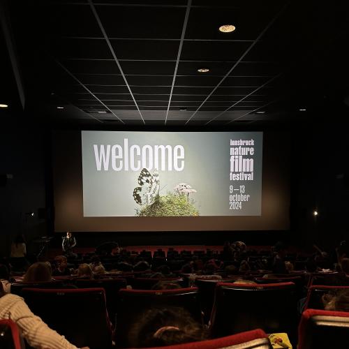 Kino 4b