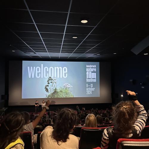 Kino 4b