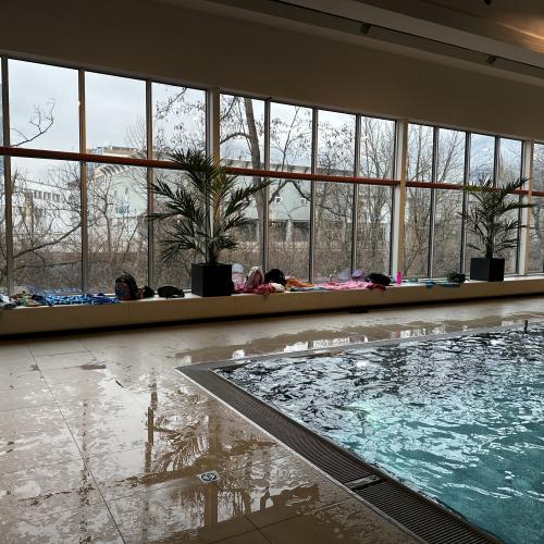 Schwimmen