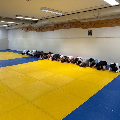 Judo 4b