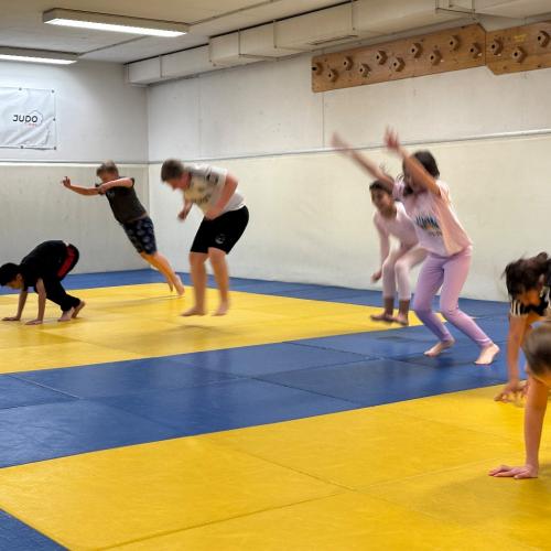 Judo 4b