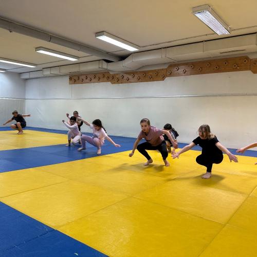 Judo 4b