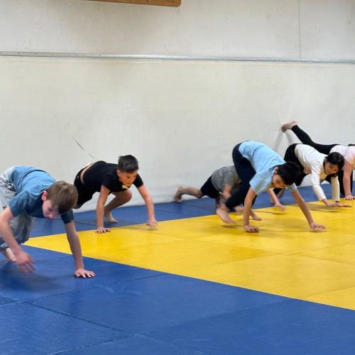 Judo 4b