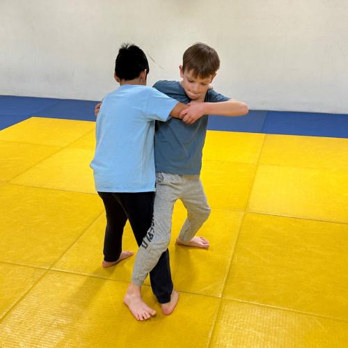 Judo 4b