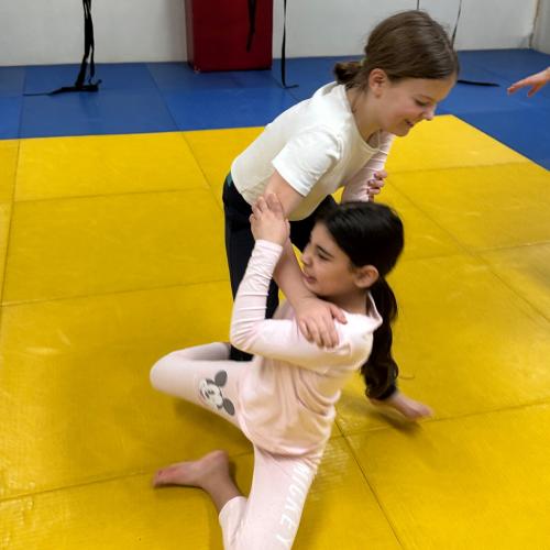 Judo 4b