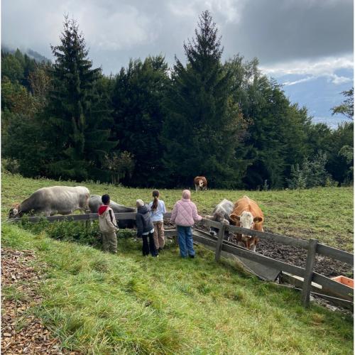 Arzleralm Wandertag 3b