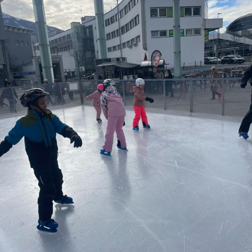 Eislaufen 1a