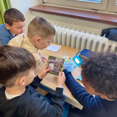 Tierschutzworkshop 1a