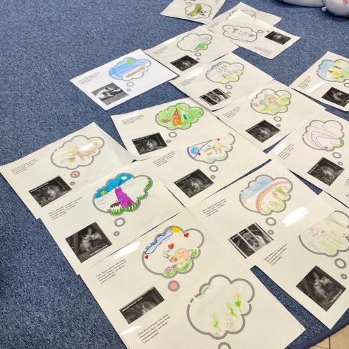 Tierschutzworkshop 1a