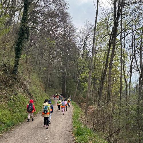 Waldschule 1b