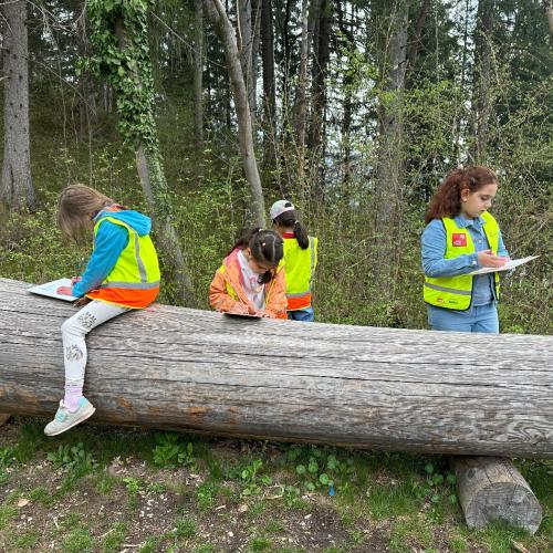 Waldschule 1b