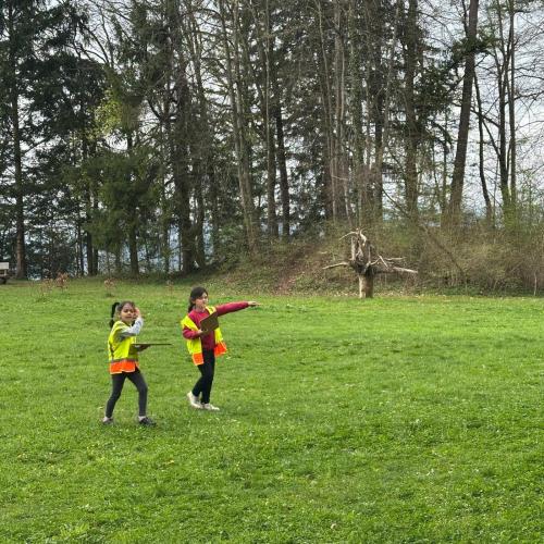 Waldschule 1b