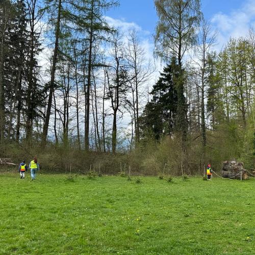 Waldschule 1b