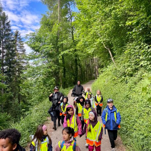 Waldschule 1a