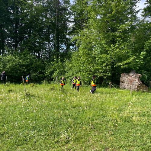 Waldschule 1a