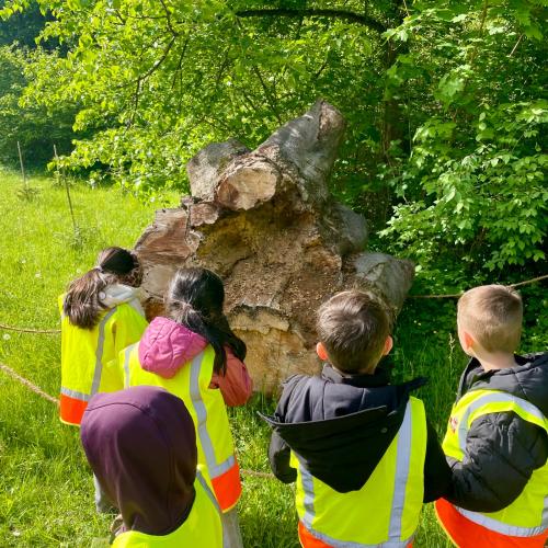 Waldschule 1a