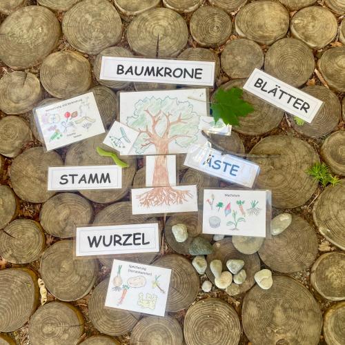 Waldschule 1a