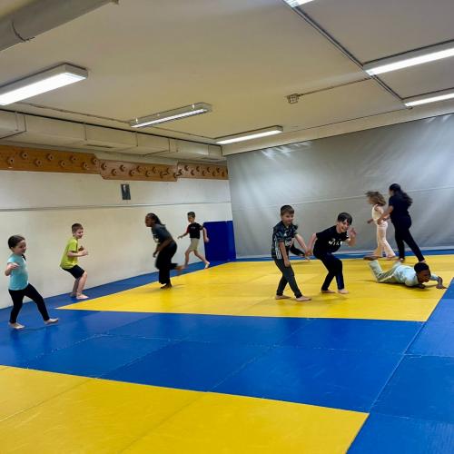 Judo 1a