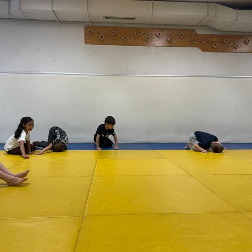Judo 1a
