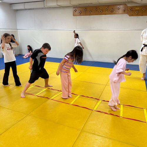 Judo 1b
