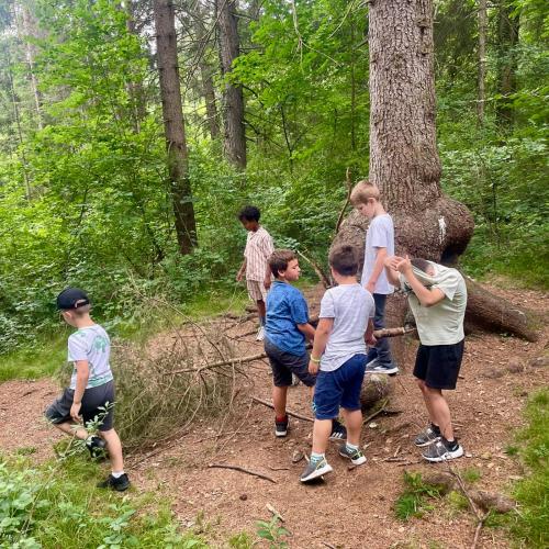 Rumer Waldspielplatz 1a