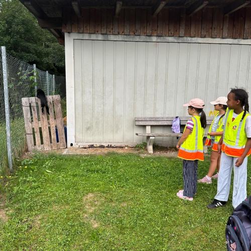 Wandertag 1b