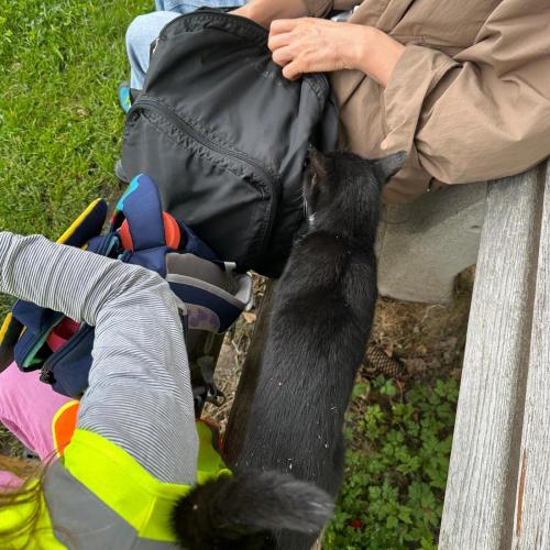 Wandertag 1b