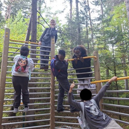 Wald 4b