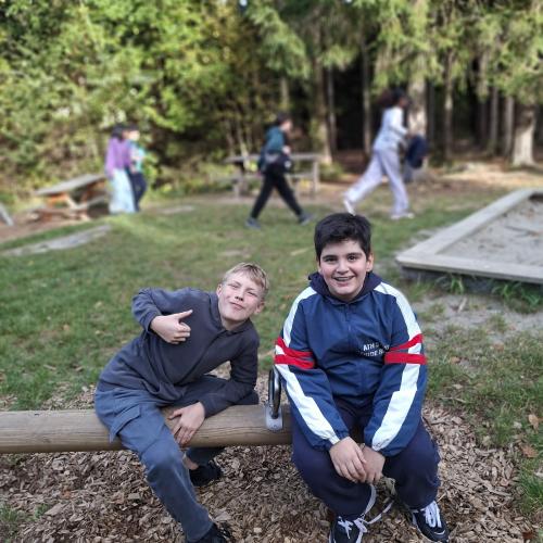 Wald 4b