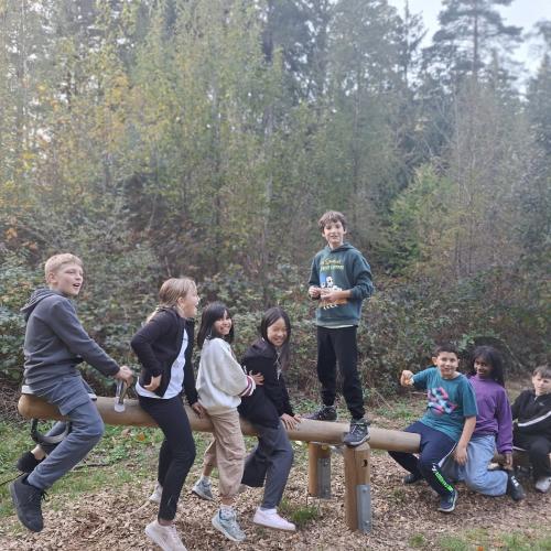 Wald 4b