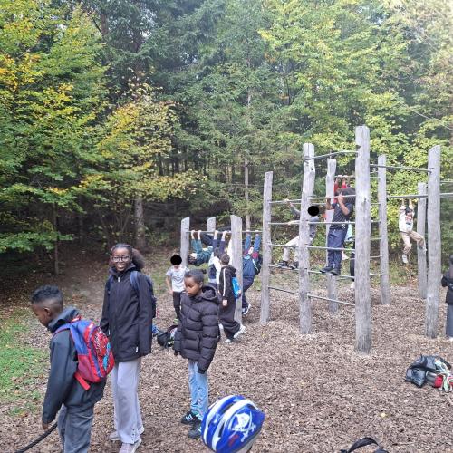 Wald 4b