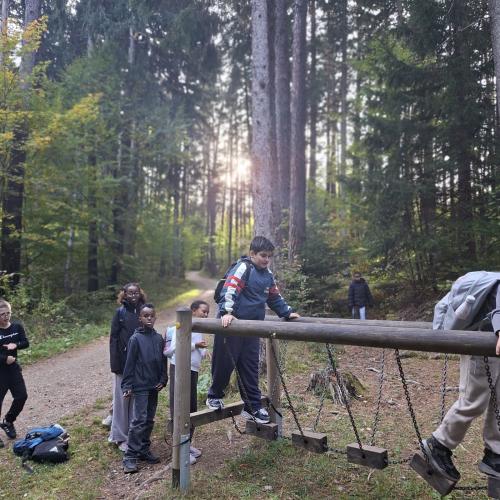 Wald 4b