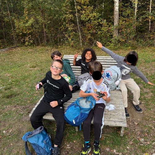 Wald 4b