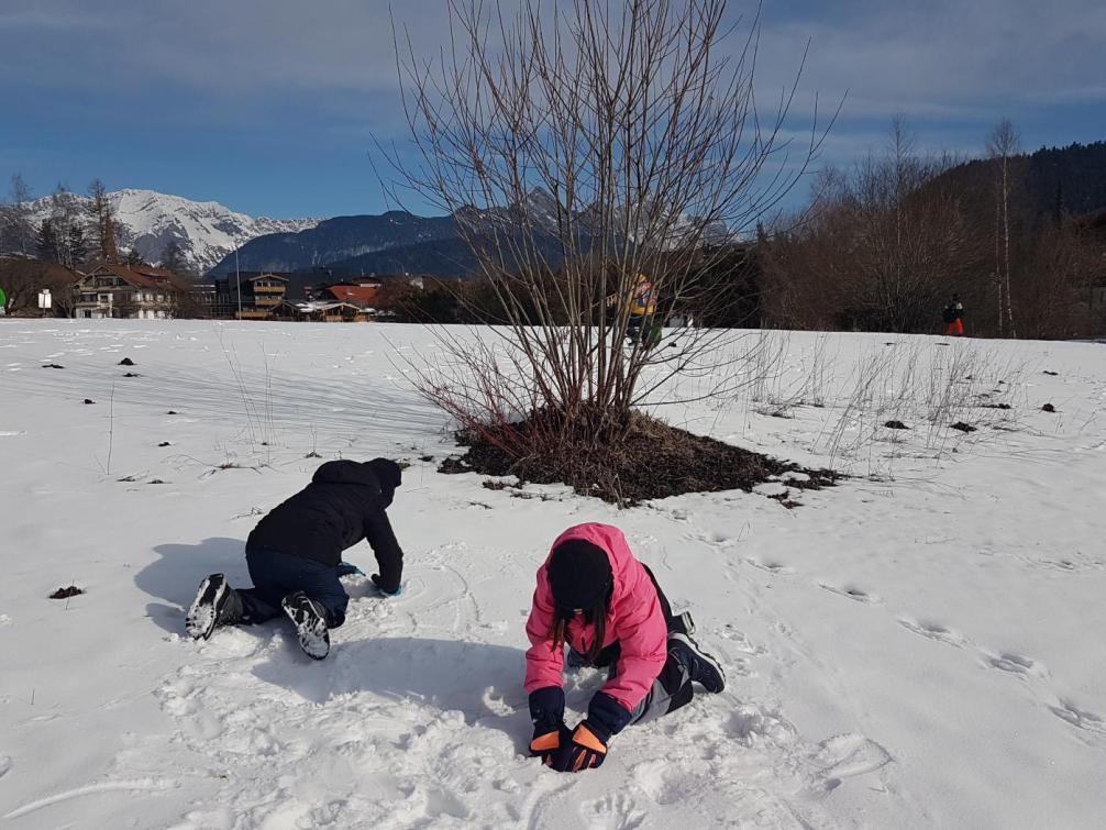 © Brkgitte Ladstätter Schneespaß in Seefeld