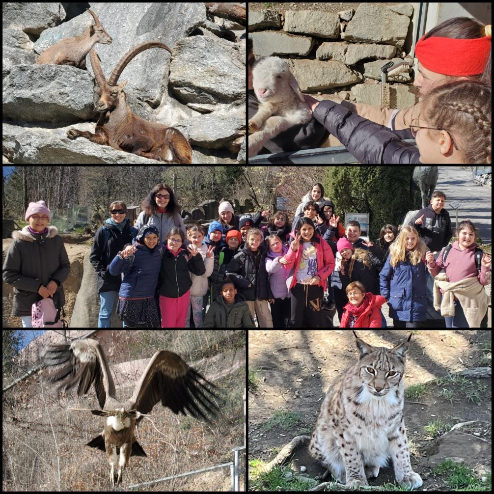 © Daniela Hofbauer 4._donnerstag_16.3.2023_alpenzoo