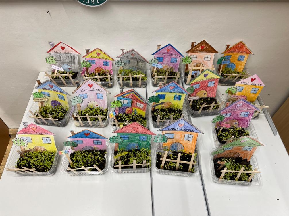 Mein Garten 