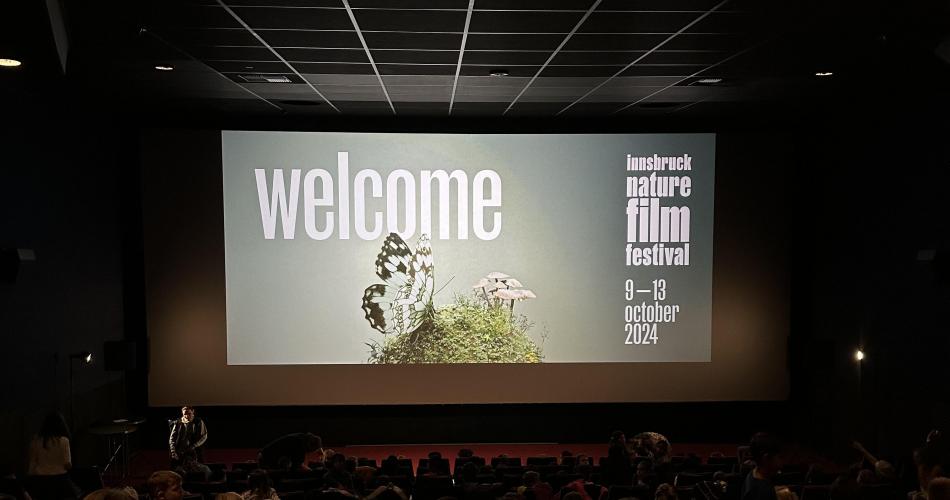 Kino 4b