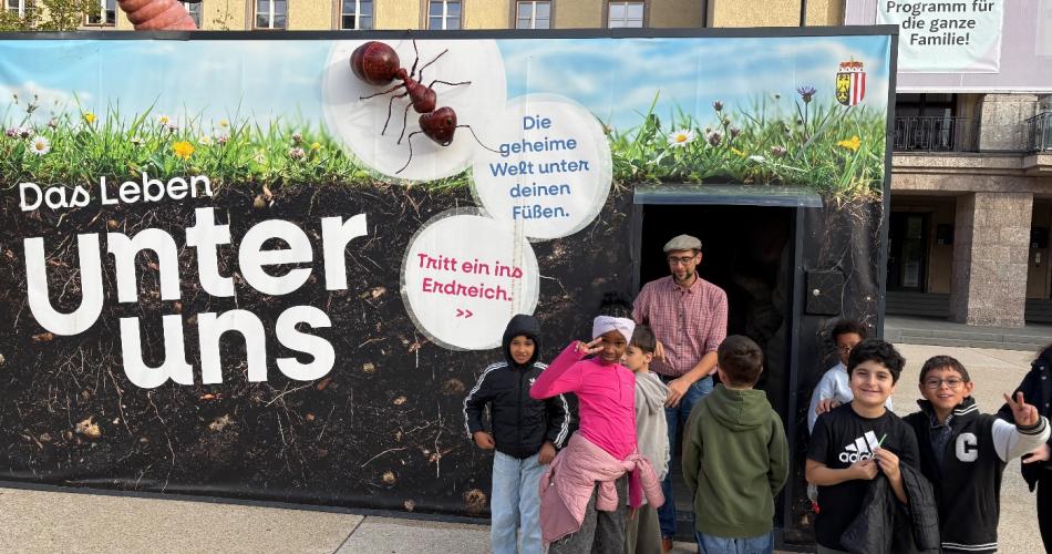 Bodencubus
