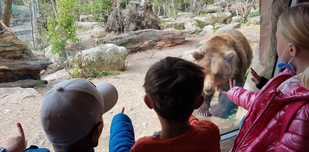 Der Bär hat es uns besonders angetan