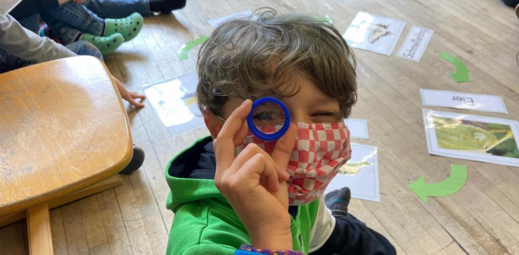 Schmetterlingsprojekt 3b (SJ 2020/2021)