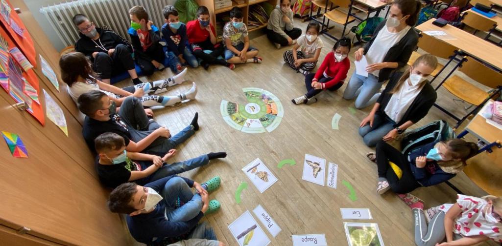 Schmetterlingsprojekt 3b (SJ 2020/2021)