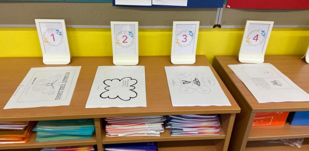 Schmetterlingsprojekt 3b (SJ 2020/2021)