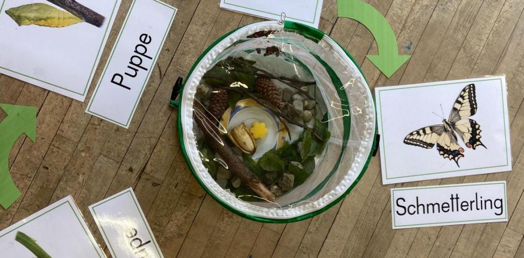 Schmetterlingsprojekt 3b (SJ 2020/2021)