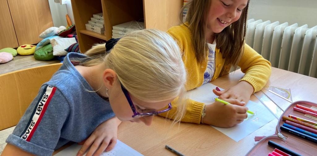 Schmetterlingsprojekt 3b (SJ 2020/2021)