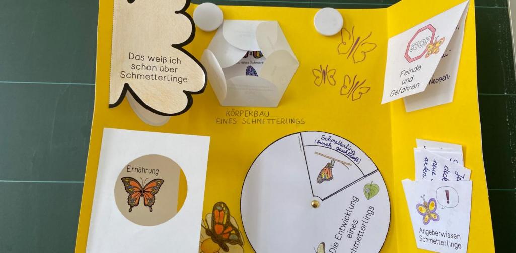 Schmetterlingsprojekt 3b (SJ 2020/2021)