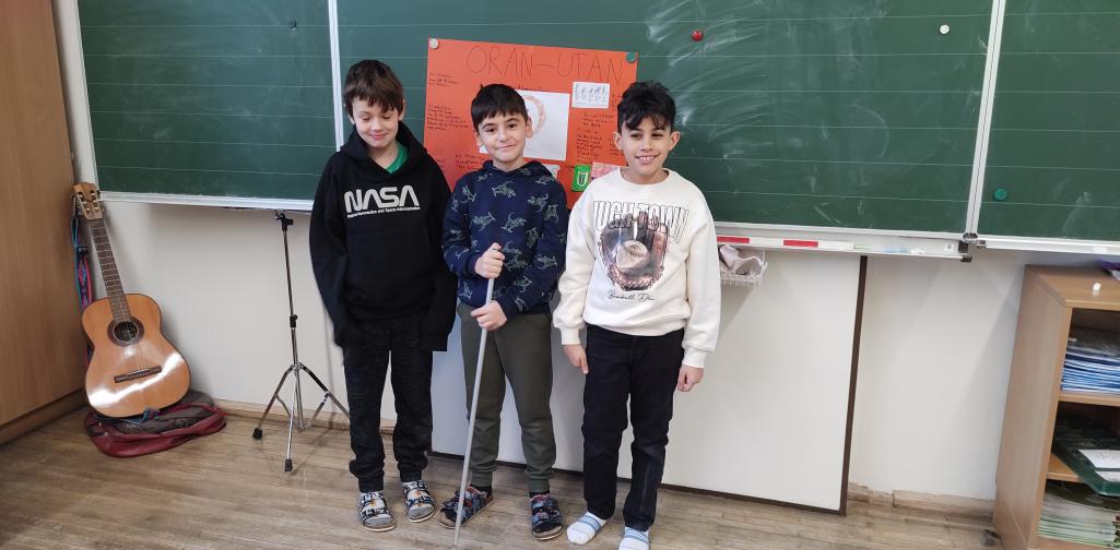 3a: Deeper Learning Einheit zum Thema Gehirn